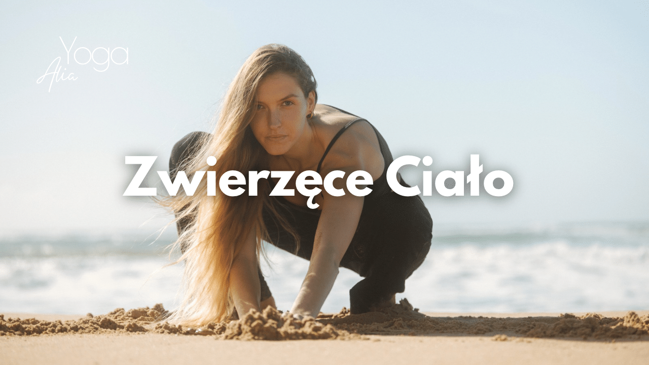 Zwierzęce ciało