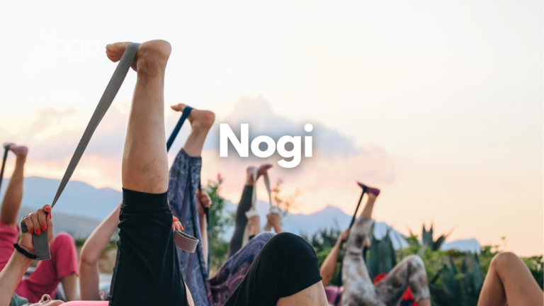 Nogi 13.09.2026